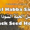 Miel Habba Sawda (Nigelle) - Black Seed Honey (300g) - عسل الحبة السوداء