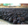 dattes ajwa de medine 800gr